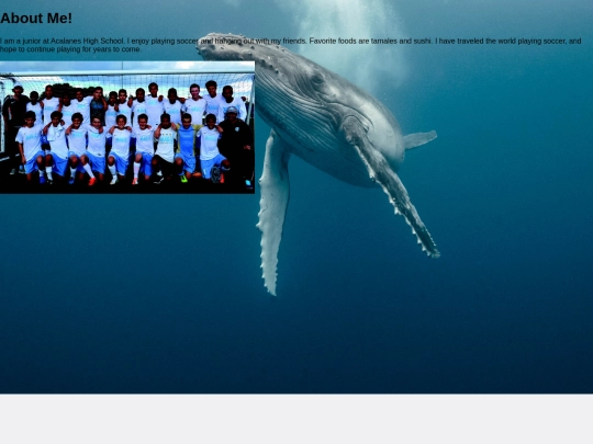 Aboutme screenshot