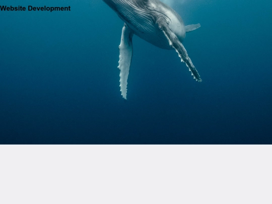 WebDevelopment screenshot