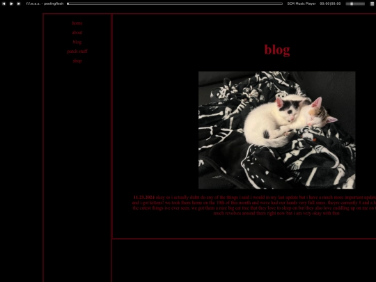blog-kittens screenshot