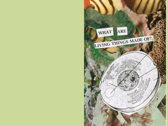 zines/livingthings screenshot