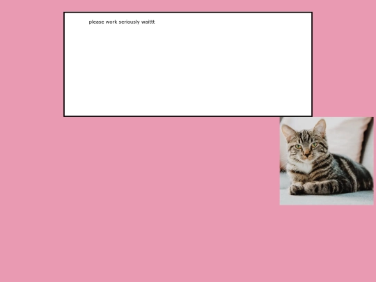 domesticshorthairslonghairs screenshot