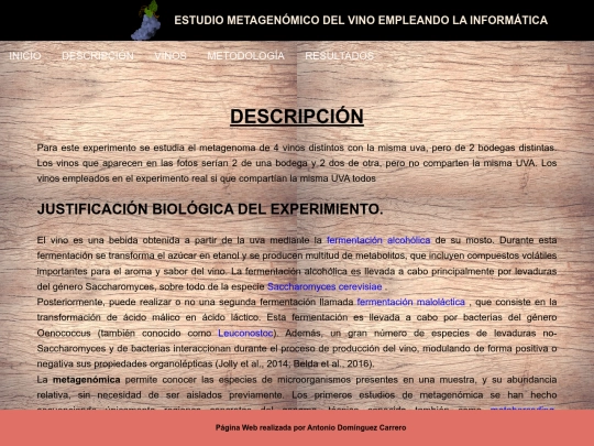 DescripcionVINO screenshot