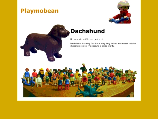 introductions/dachshund screenshot