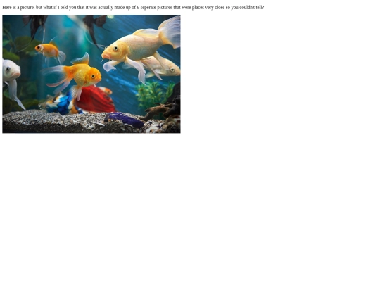 puzzle screenshot
