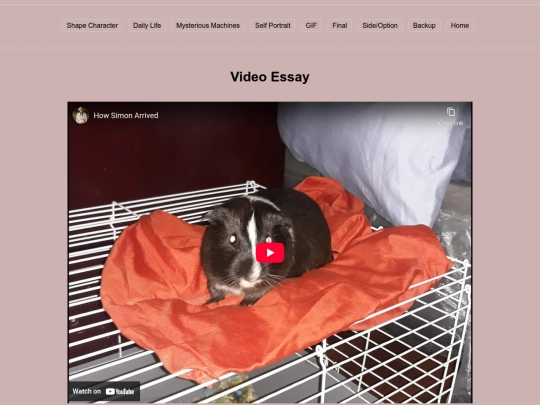 Final/video screenshot