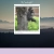theme e avatar