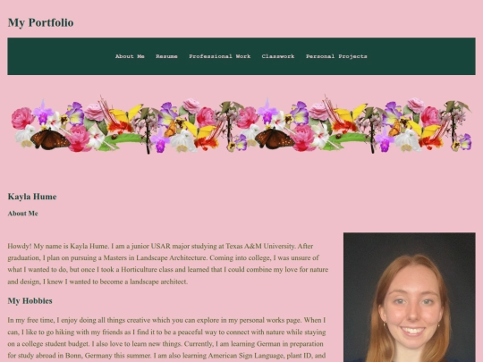 portfolio screenshot