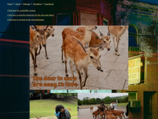 zines-etc/thedeerinnara screenshot