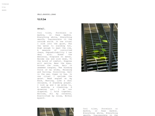 blog1 screenshot