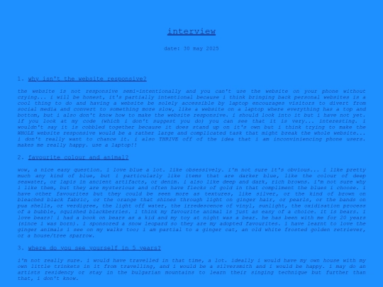 interview screenshot