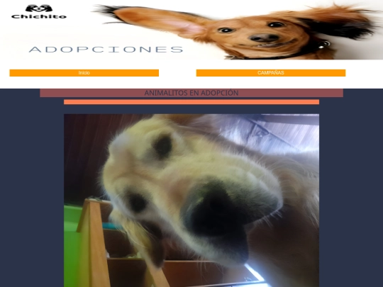 Veterinaria celu/Adoptaje screenshot