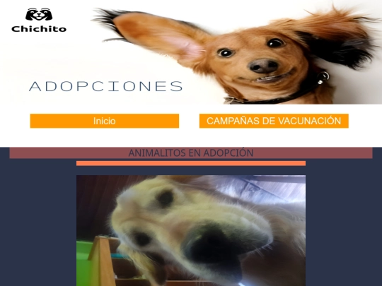 Veterinaria/Adoptaje screenshot