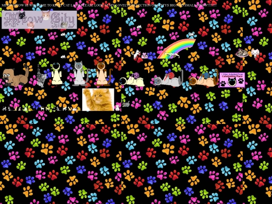 cats screenshot