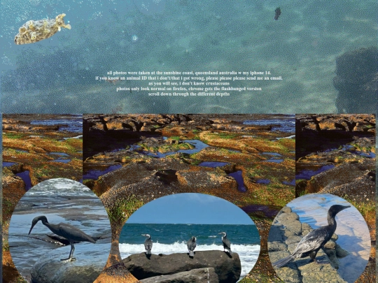 getcubed2/html/tides screenshot
