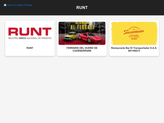 runt1 screenshot