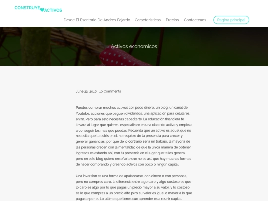 activos-economicos screenshot