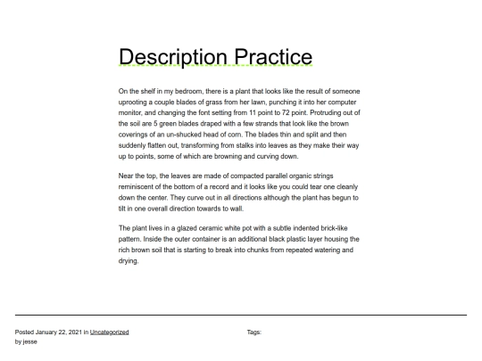 description-practice screenshot