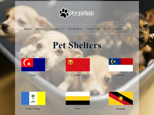 PetShelters screenshot