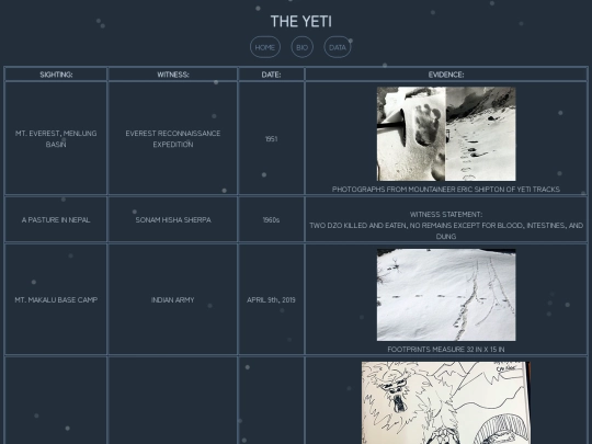 data screenshot