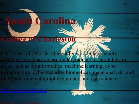 esc/SouthCarolina screenshot