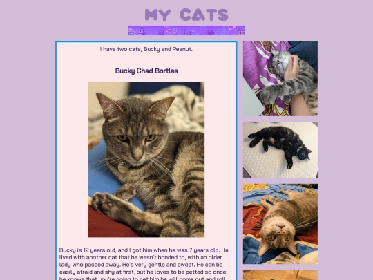 cats screenshot