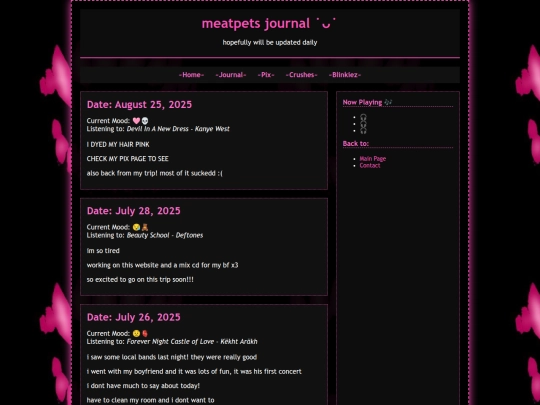 journal screenshot