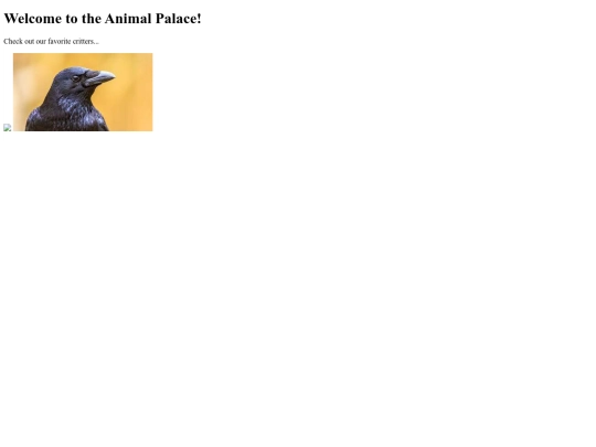 animals screenshot