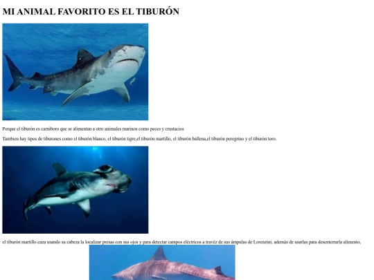 evaluacion screenshot