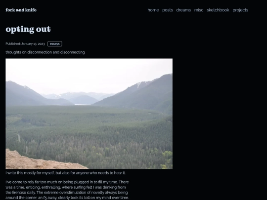blog/thoughts/opt screenshot