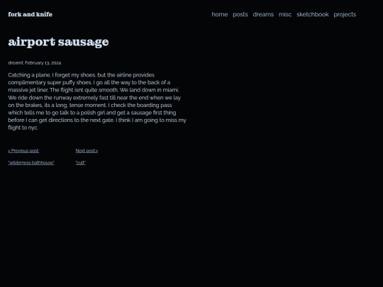 dream_journal/airport_sausage screenshot