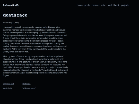 dream_journal/death_race screenshot