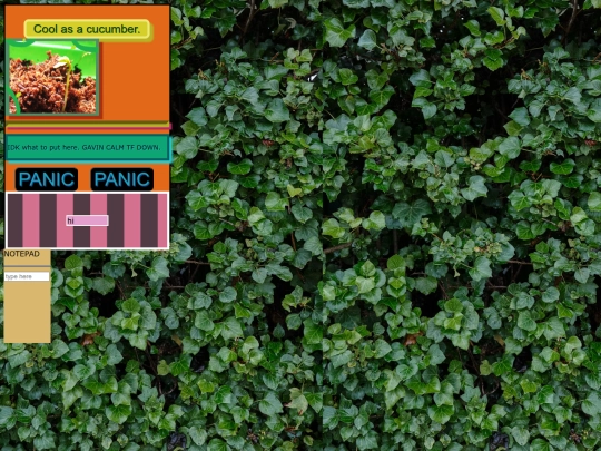 randomfun-2 screenshot