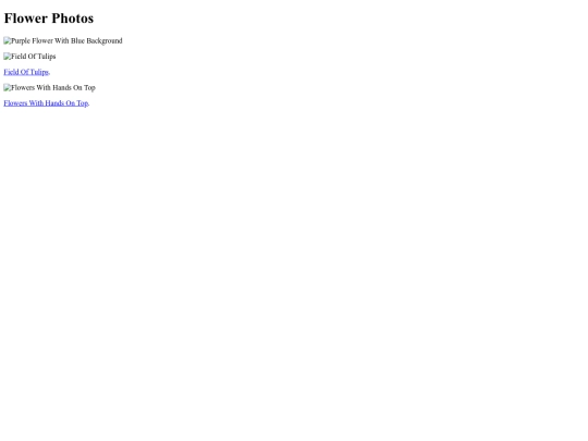 gallery screenshot