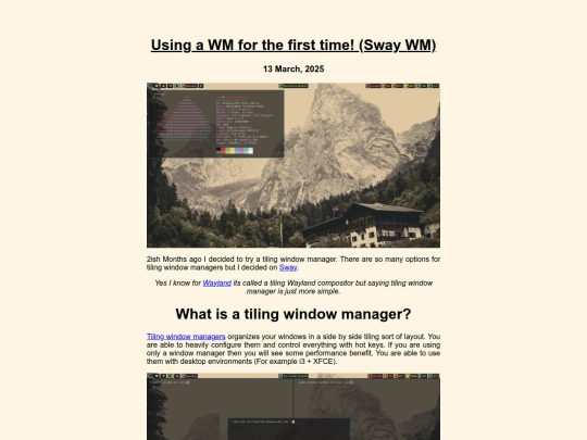 Rants/Using a WM for the first time screenshot