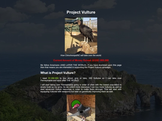project-vulture screenshot