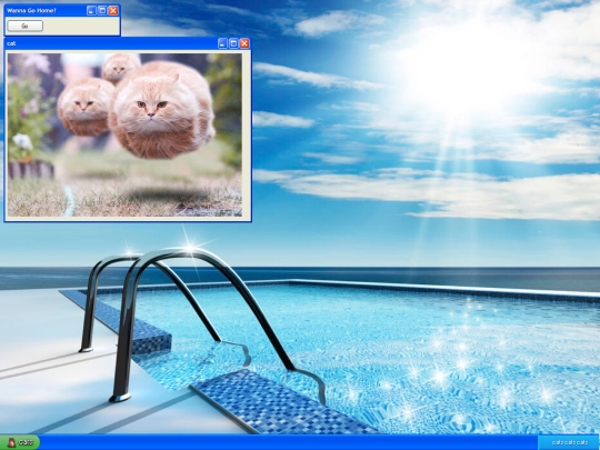 cats screenshot