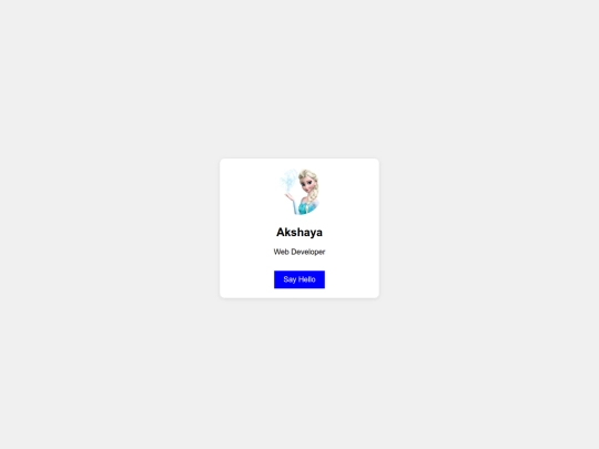 web developer screenshot