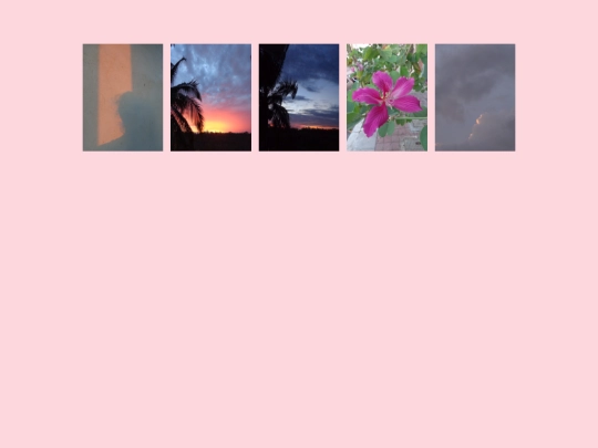 photos screenshot