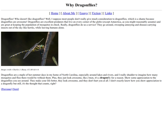 about/dragonflies screenshot