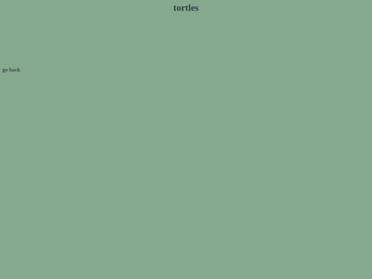critters/click_turtle screenshot