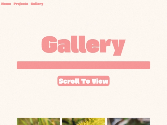 gallery screenshot
