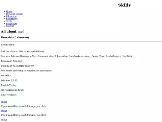 html/skills screenshot