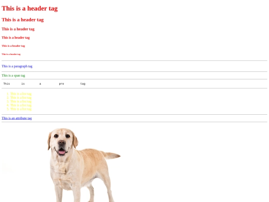 Webpage screenshot
