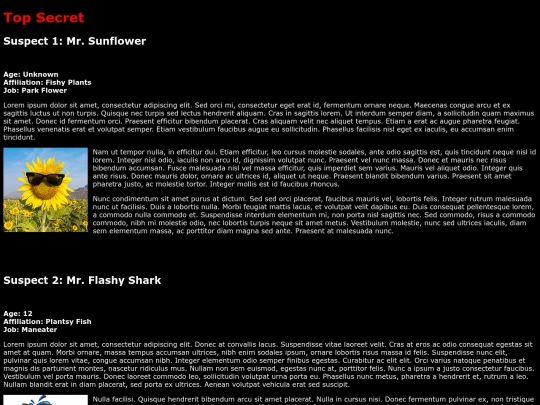 Experiment screenshot