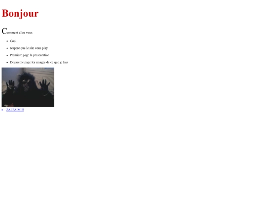 html/site screenshot