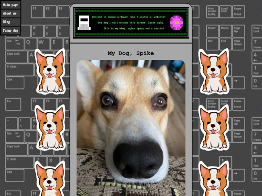 funny-dog screenshot