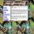 lol avatar
