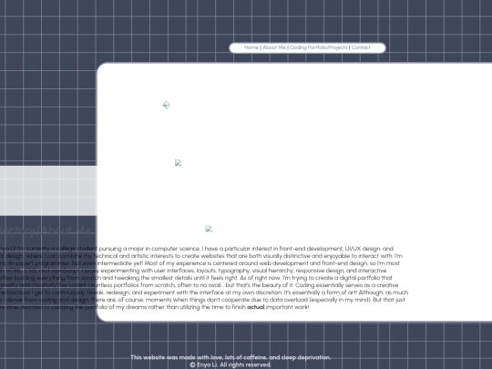 enyalisportfolio screenshot