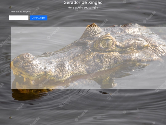 Xingao screenshot