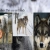 The web site of wolvesareawesomeandmyfriends avatar